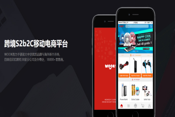 许龙华：一个APP实现印尼电商梦